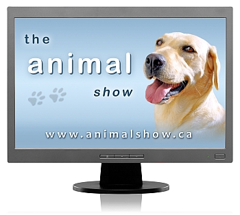 Animal Show